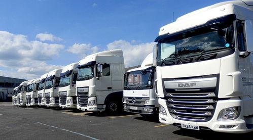 2018年國際貨物運輸代理合同范本